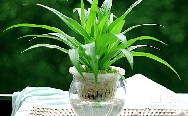 魚鱗皮膚病的治療方法，參歸潤燥搽劑效果怎么樣