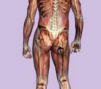 股骨頭壞死的治療，什么是股骨頭壞死