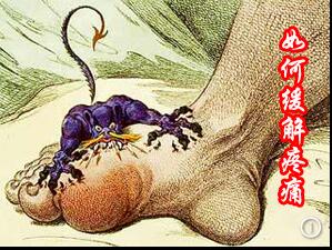 痛風吃什么藥，痛風吃什么藥效果最好