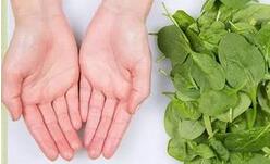 風定寧片 價格，風定寧哪里有賣