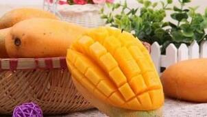 風定寧片價格，風定寧哪里有賣