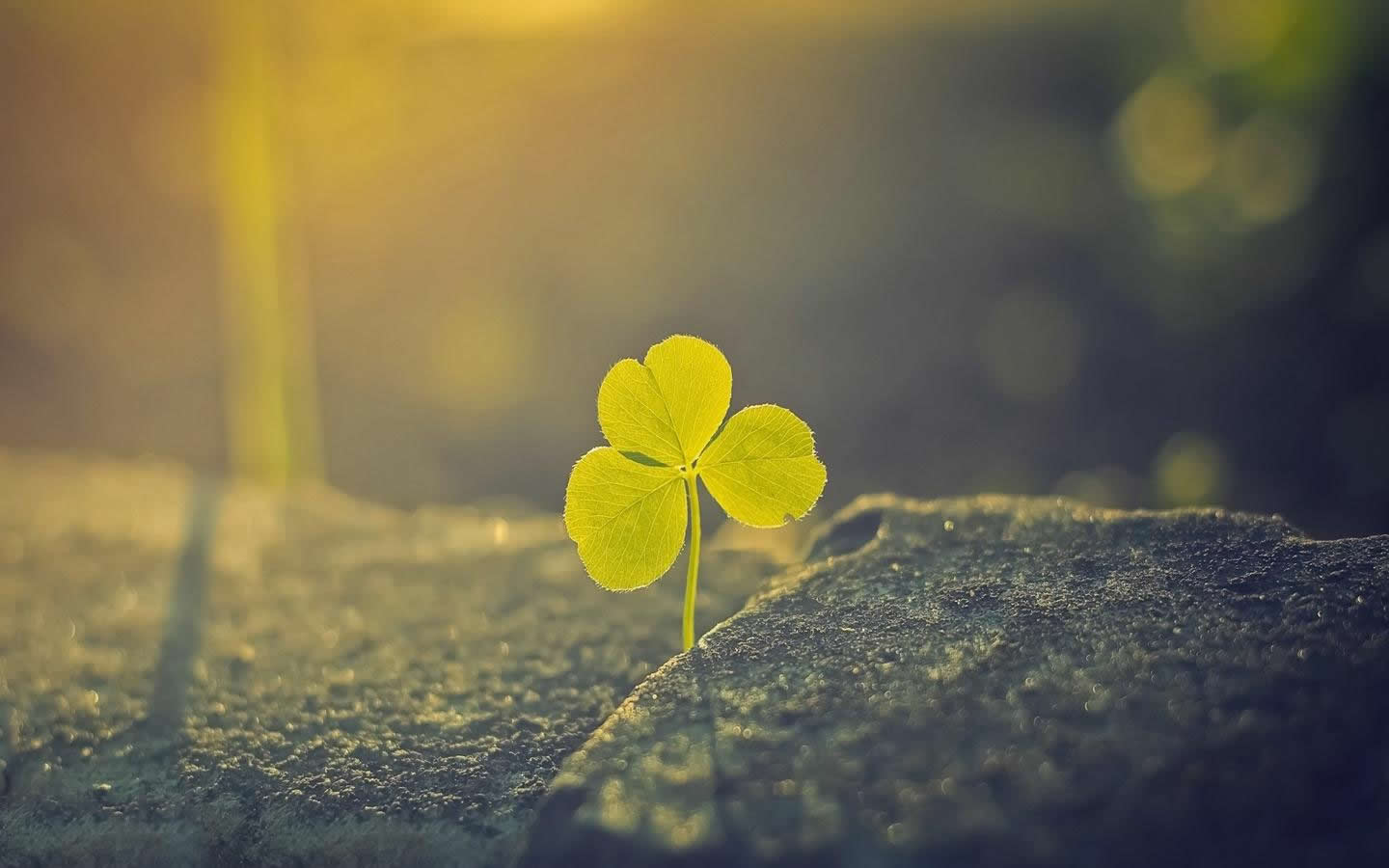 魚(yú)鱗皮膚病如何治療，參歸潤(rùn)燥搽劑好嗎