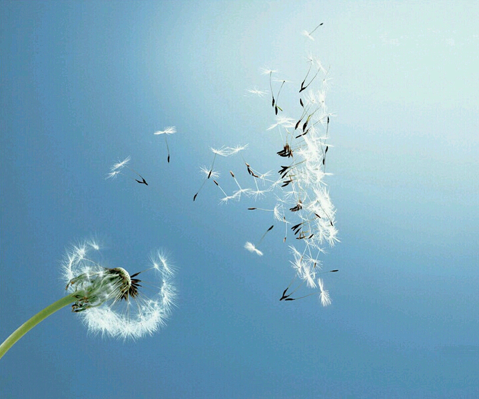 先天性魚鱗病吃什么藥，魚鱗病吃什么藥