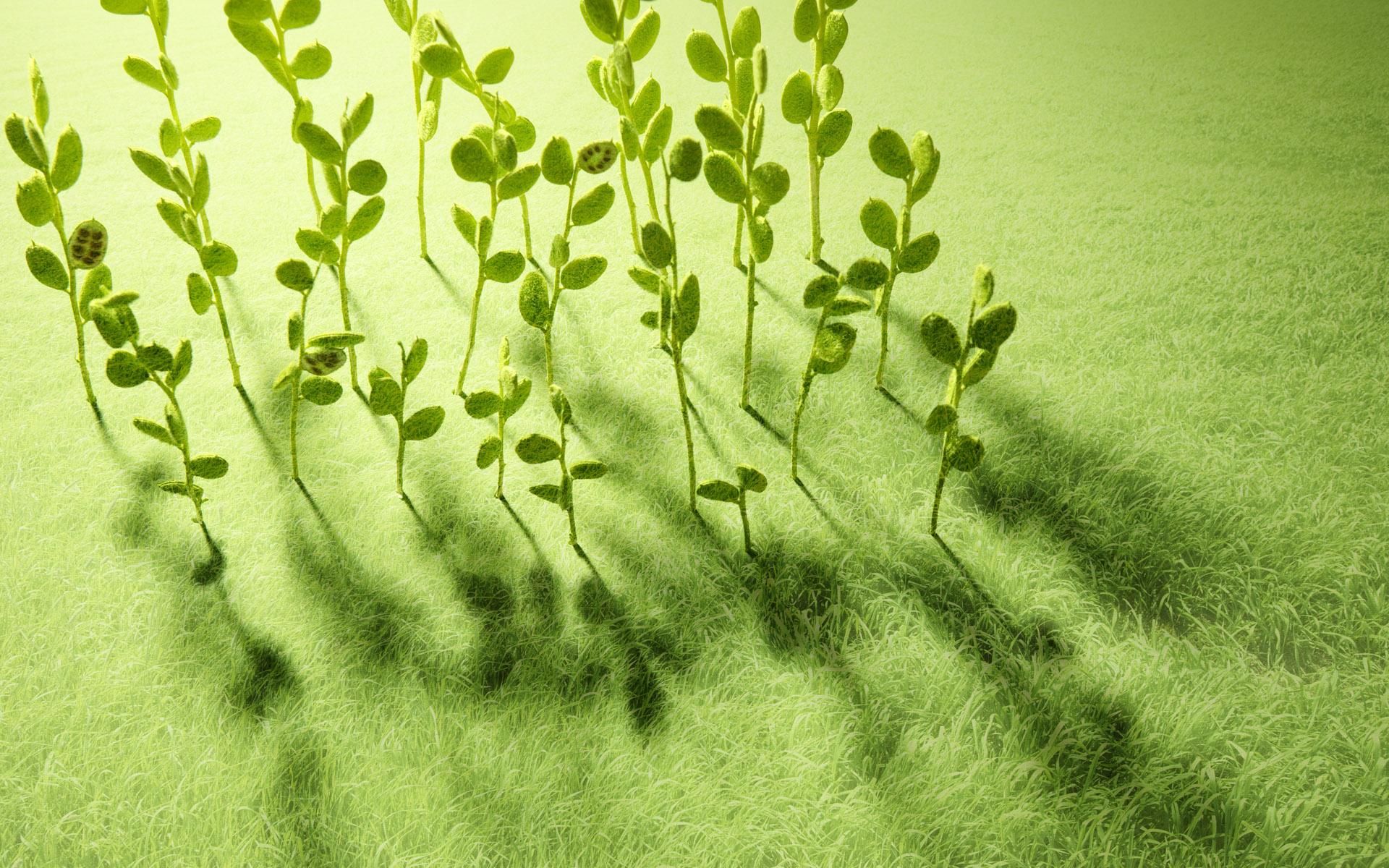 服用伊索佳注意事項，服用伊索佳不能吃什么