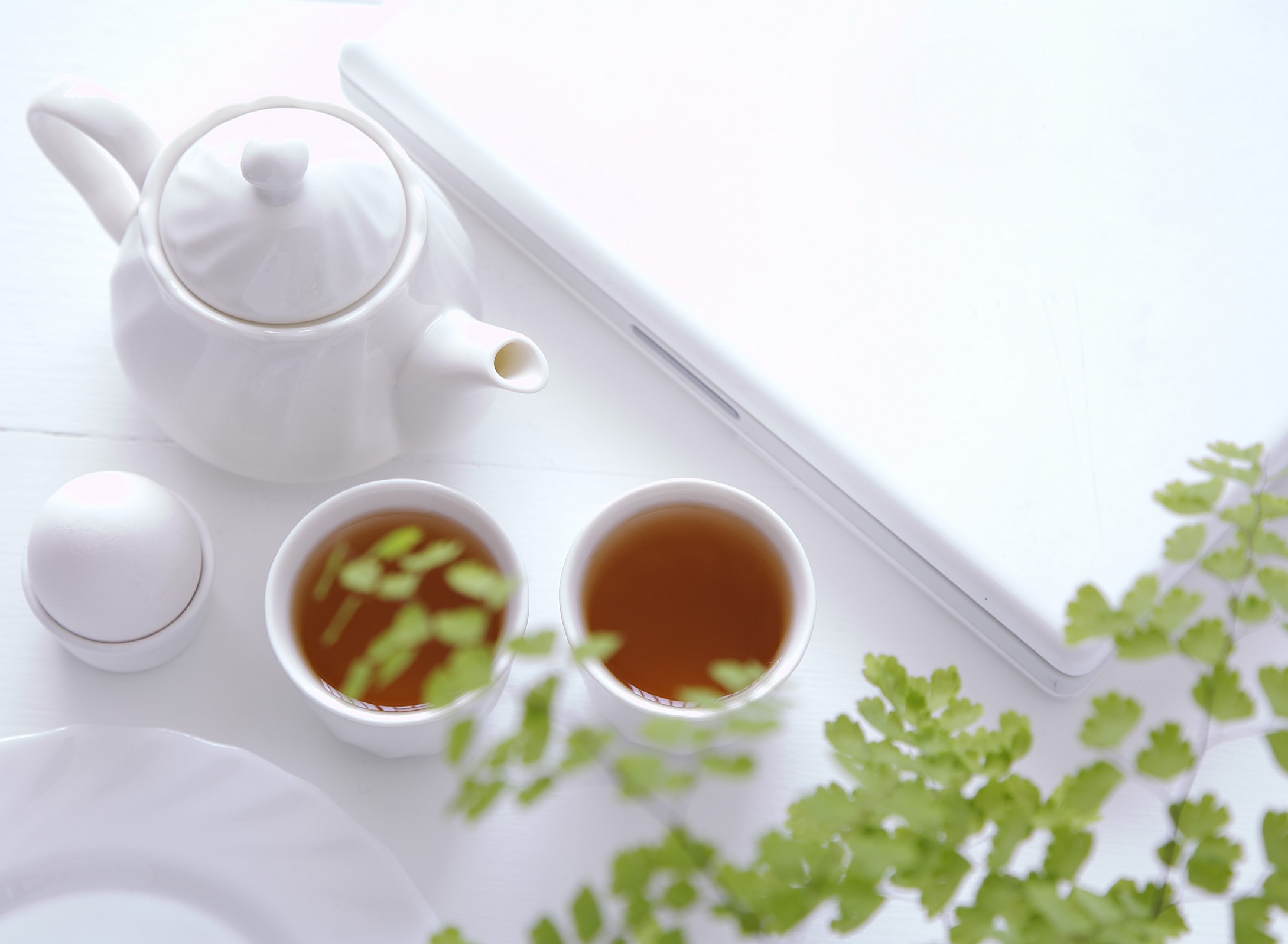 服用保節(jié)力不能吃什么，骨關(guān)節(jié)炎的飲食禁忌