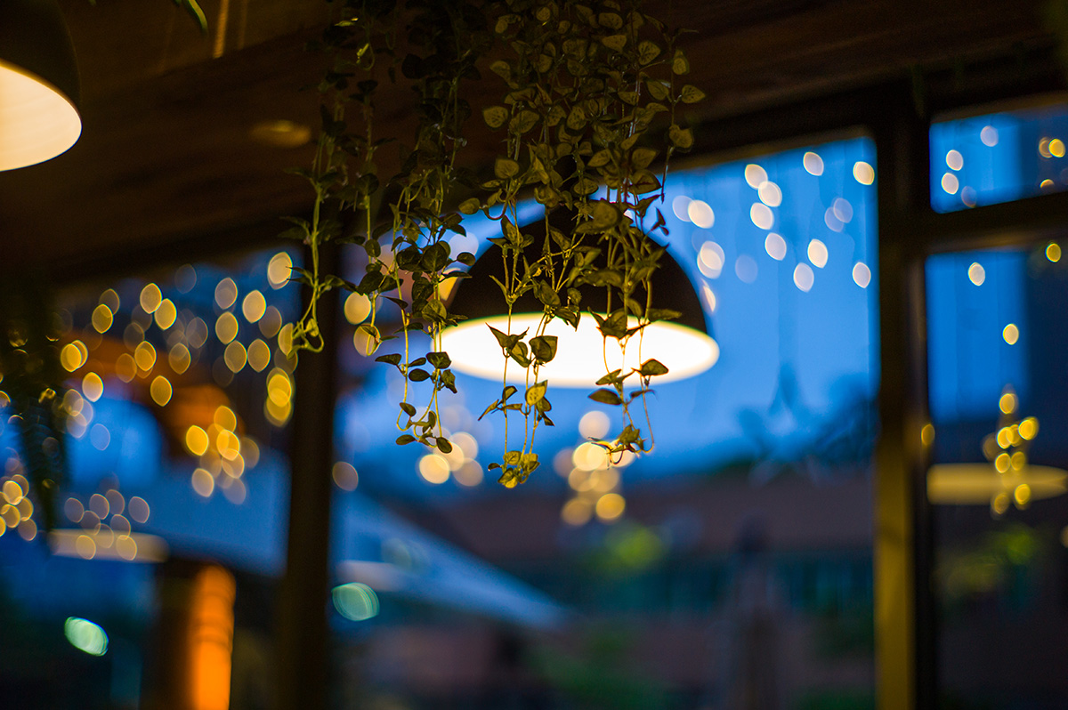 魚鱗病的治療注意事項，魚鱗病的日常注意事項