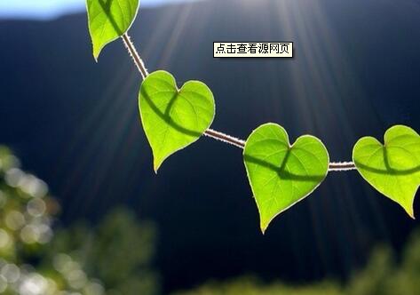 吃什么藥能治魚鱗病，參歸潤燥搽劑效果怎么樣