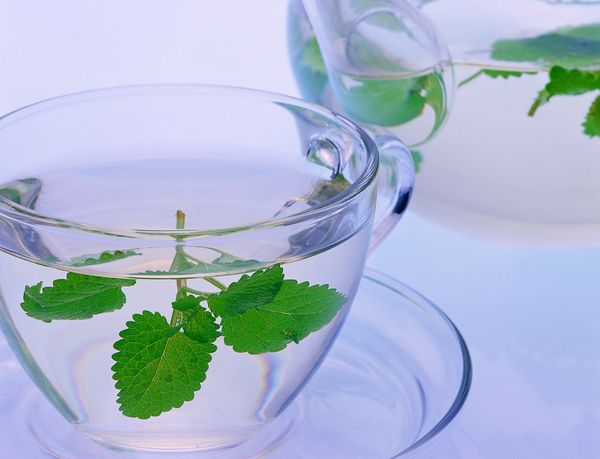 服用伊索佳注意事項(xiàng)，骨關(guān)節(jié)炎的飲食禁忌