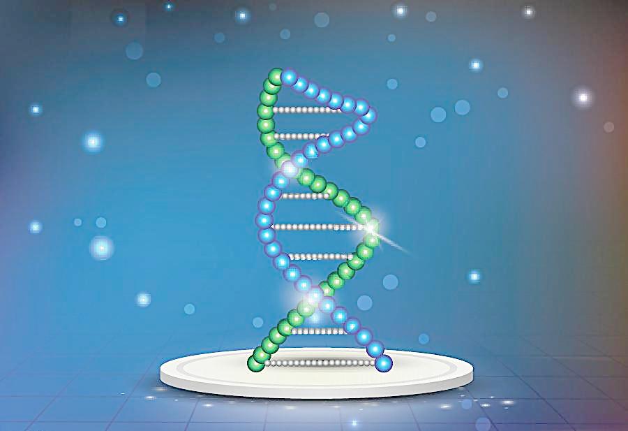 腰椎間盤突出的類型，好及施膏藥