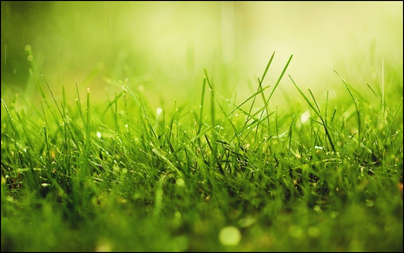 吃什么藥能治魚鱗病，參歸潤燥擦劑