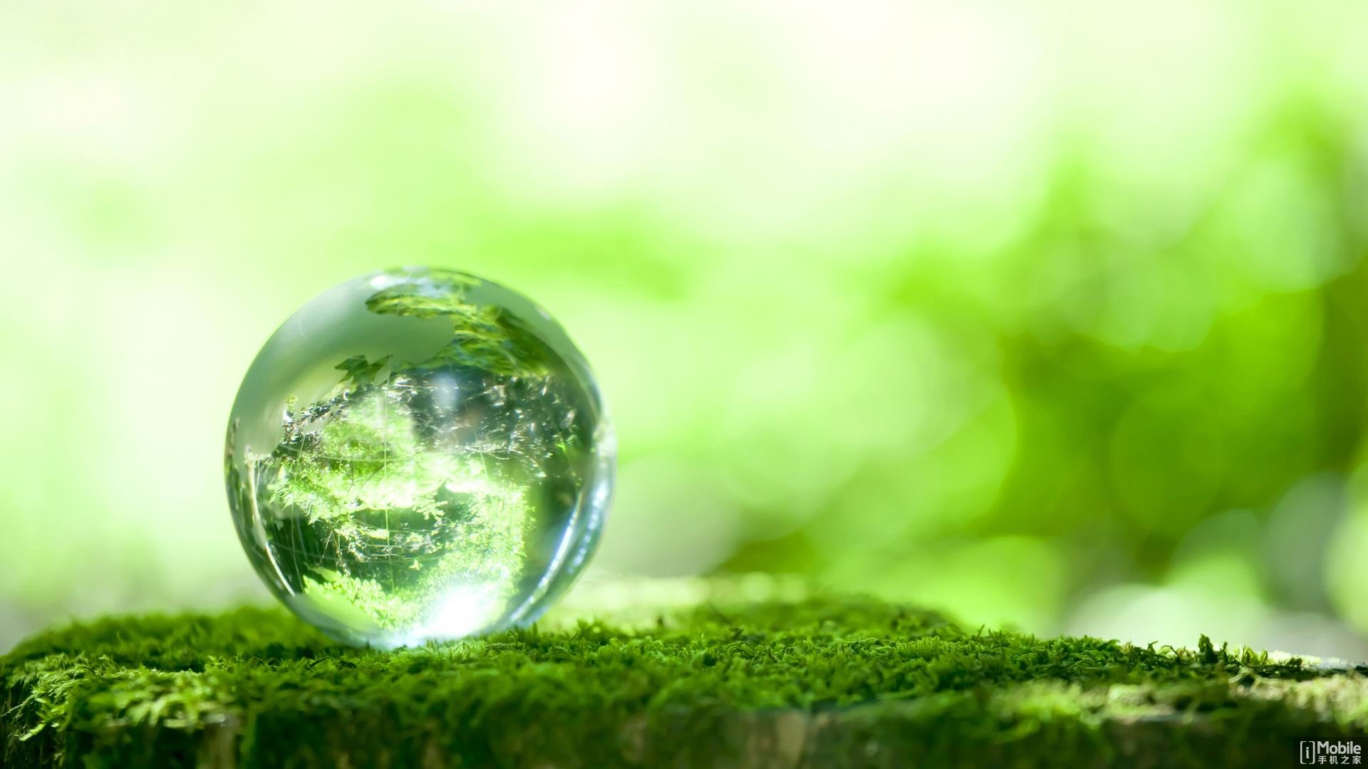 吃什么藥能治魚鱗病，參歸潤燥搽劑怎么樣