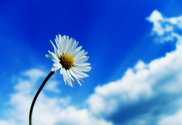 魚鱗皮膚病的治療方法，參歸潤燥搽劑效果怎么樣