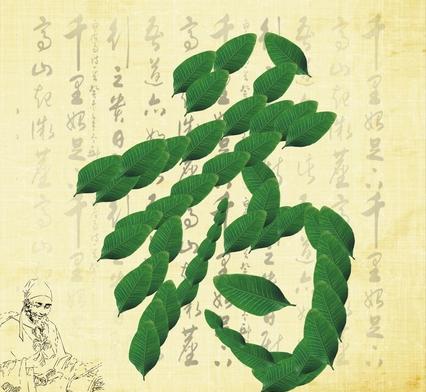 股骨頭壞死藥物的治療方法，股骨頭壞死該吃什么藥物管用