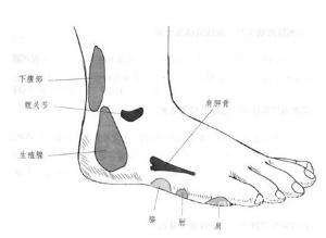 痛風(fēng)發(fā)作吃什么藥，非布司他片效果好嗎