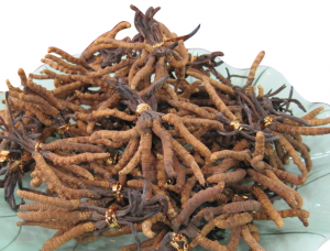 萬艾可劑量，萬艾可的副作用