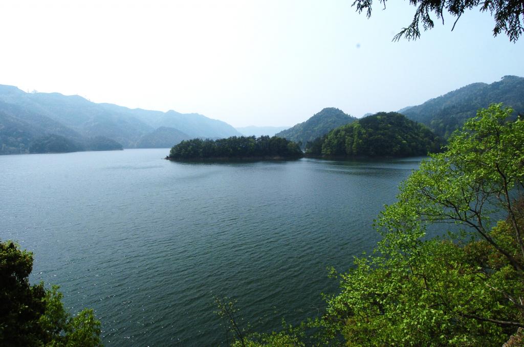 參歸潤燥搽劑哪里買，參歸潤燥搽劑銷售點