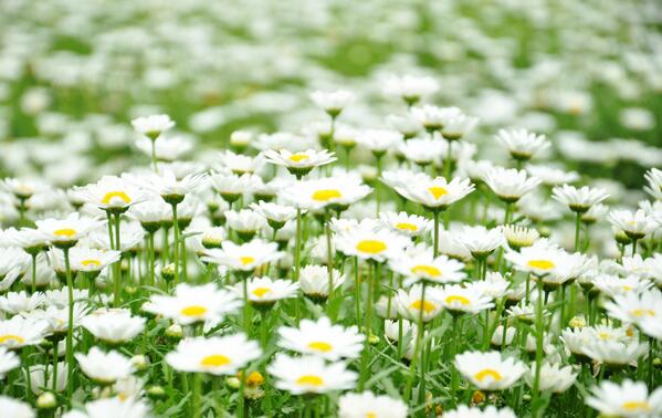 魚鱗病注意事項，參歸潤燥搽劑使用注意什么