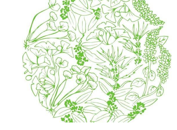 枸櫞酸西地那非片是什么，偉哥怎么吃