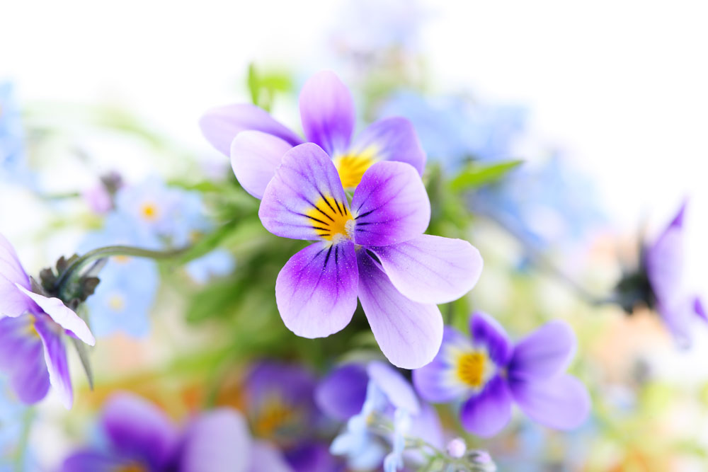 服用伊索佳注意事項，骨關節炎的飲食禁忌