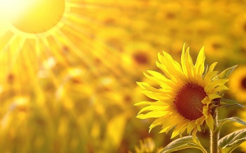 吃什么藥能治魚鱗病，參歸潤燥擦劑