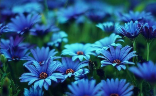 硫酸氨基葡萄糖膠囊副作用，伊索佳飲食注意