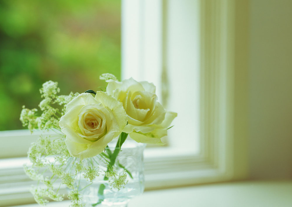 服用伊索佳注意事項，骨關節炎的飲食禁忌