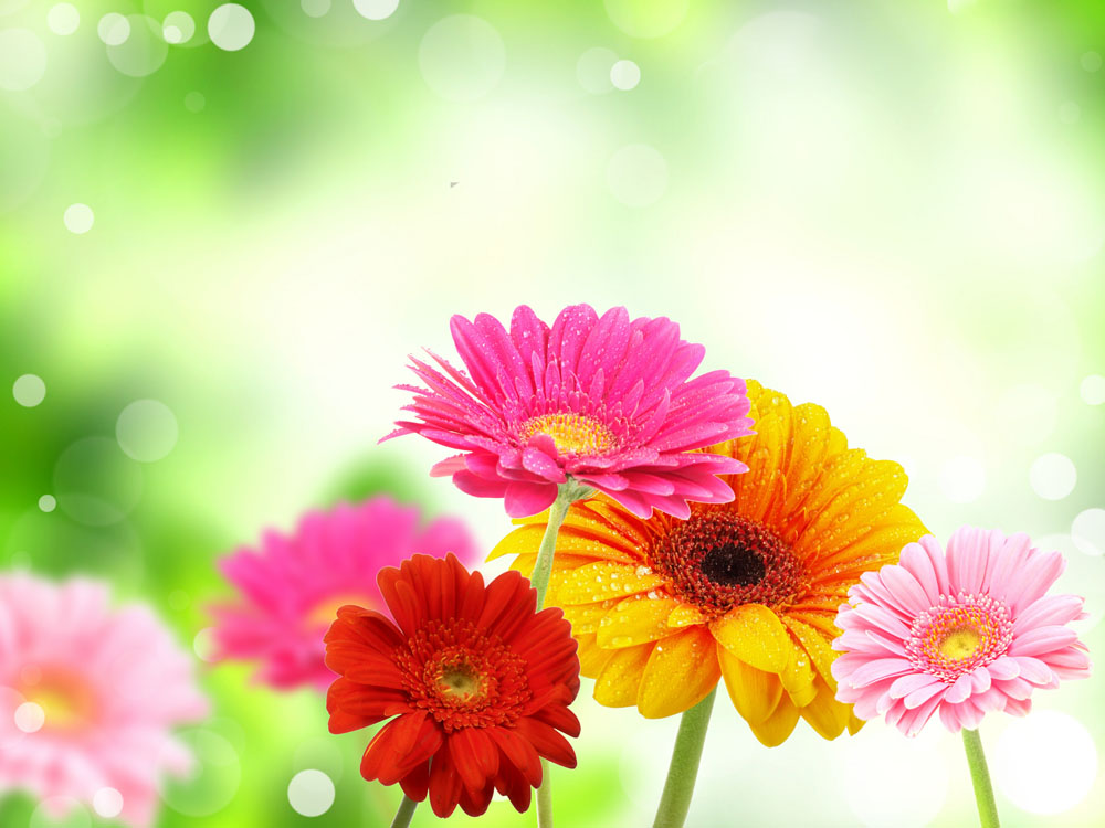 服用伊索佳注意事項，骨關節炎的飲食禁忌