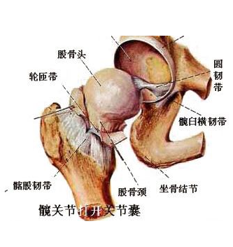 通絡生骨膠囊價格,股骨頭壞死治療費用