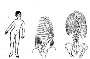 什么是股骨頭壞死,股骨頭壞死吃什么藥好
