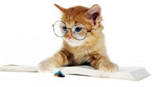 參歸潤燥搽劑怎么用，參歸潤燥搽劑要用多長時間