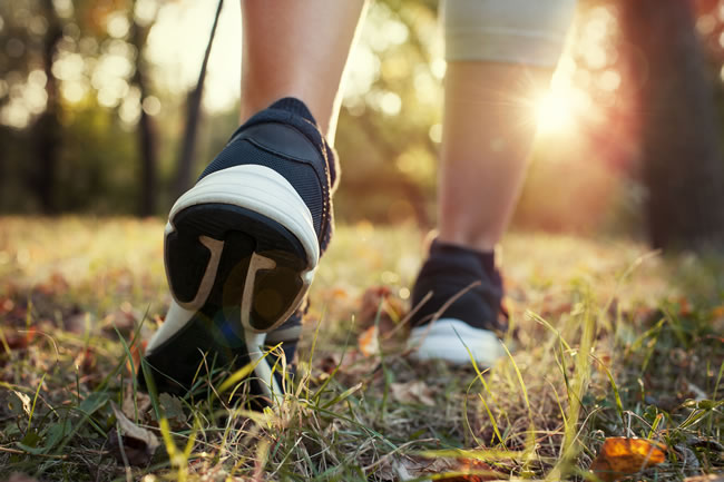 哪里可以買到參歸潤燥搽劑，參歸潤燥搽劑怎么買