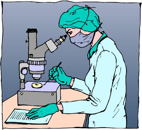 邁之靈片價格多少，邁之靈片生產廠家