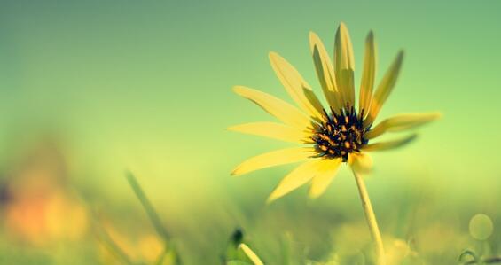 腿上有魚鱗皮怎么辦，吃什么藥能治魚鱗病