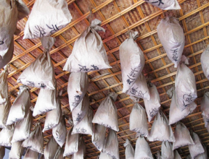 早期怎么使用通絡(luò)生骨膠囊，中期怎么使用通絡(luò)生骨膠囊