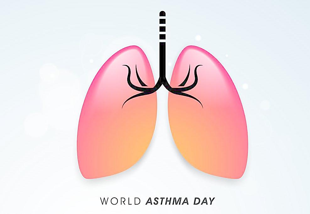 邁之靈片價(jià)格多少，邁之靈優(yōu)惠