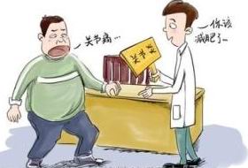 伊索佳使用說明書，伊索佳規格