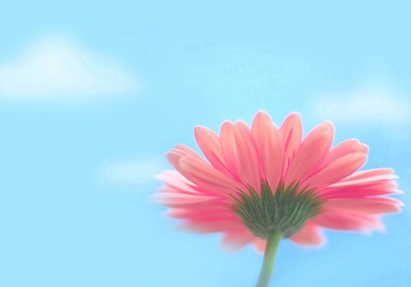 治魚鱗病吃什么藥，魚鱗皮膚病的治療方法