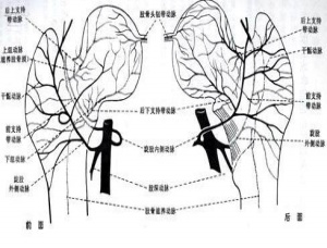 通絡生骨膠囊價格，股骨頭壞死治療費用