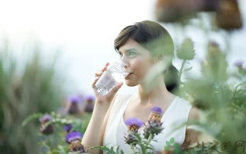 伊索佳說明書，伊索佳規格