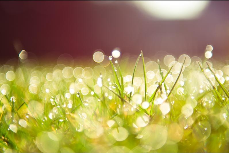 參歸潤燥搽劑銷售點，哪里可以買到參歸潤燥搽劑