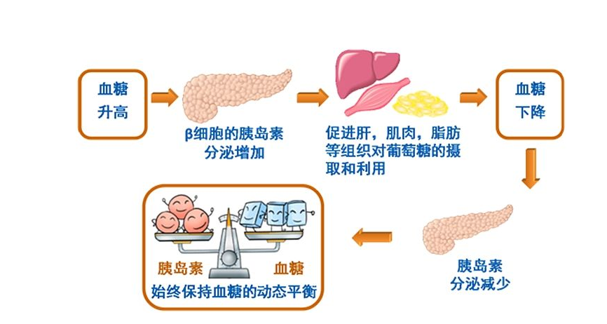 治療糖尿病視網膜病變的費用，芪明顆粒多少錢