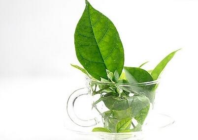 魚鱗皮膚病如何治療，參歸潤燥搽劑效果怎么樣