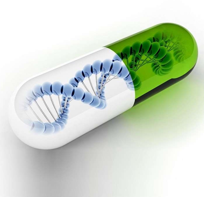 伊索佳說明書，硫酸氨基葡萄糖膠囊作用