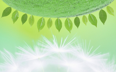 伊索佳硫酸氨基葡萄糖膠囊副作用，服用伊索佳注意事項(xiàng)