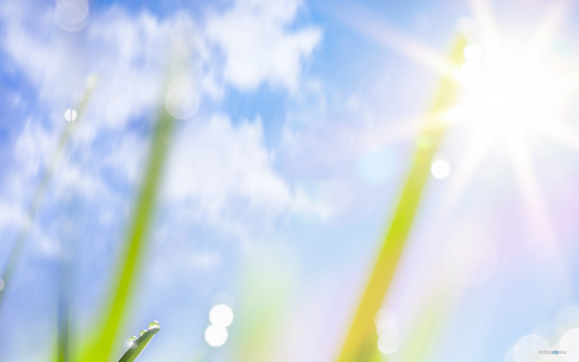 保節力飲食注意，骨關節炎的飲食禁忌 