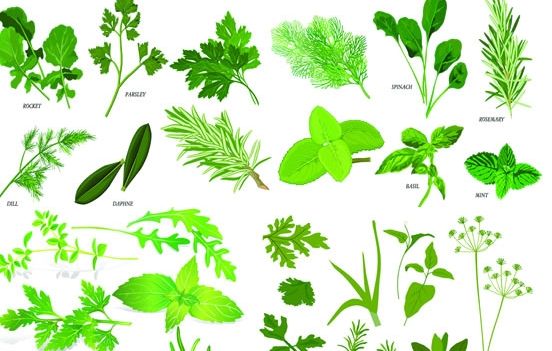 魚鱗皮膚病如何治療，參歸潤燥搽劑怎么樣