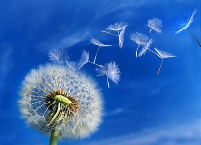 伊索佳副作用，服用伊索佳注意事項，骨關節炎的飲食禁忌 