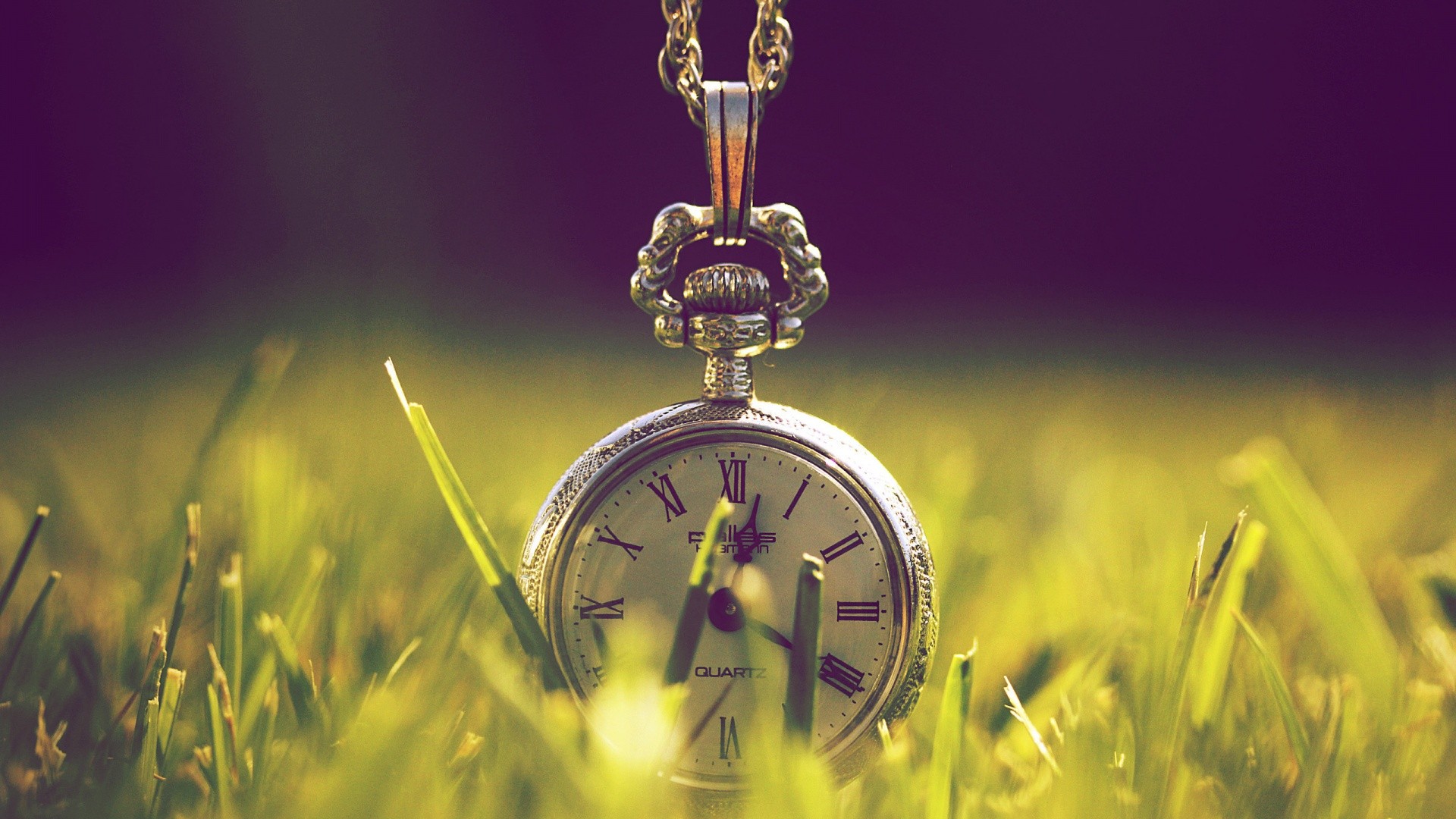 保節力飲食注意，骨關節炎的飲食禁忌 