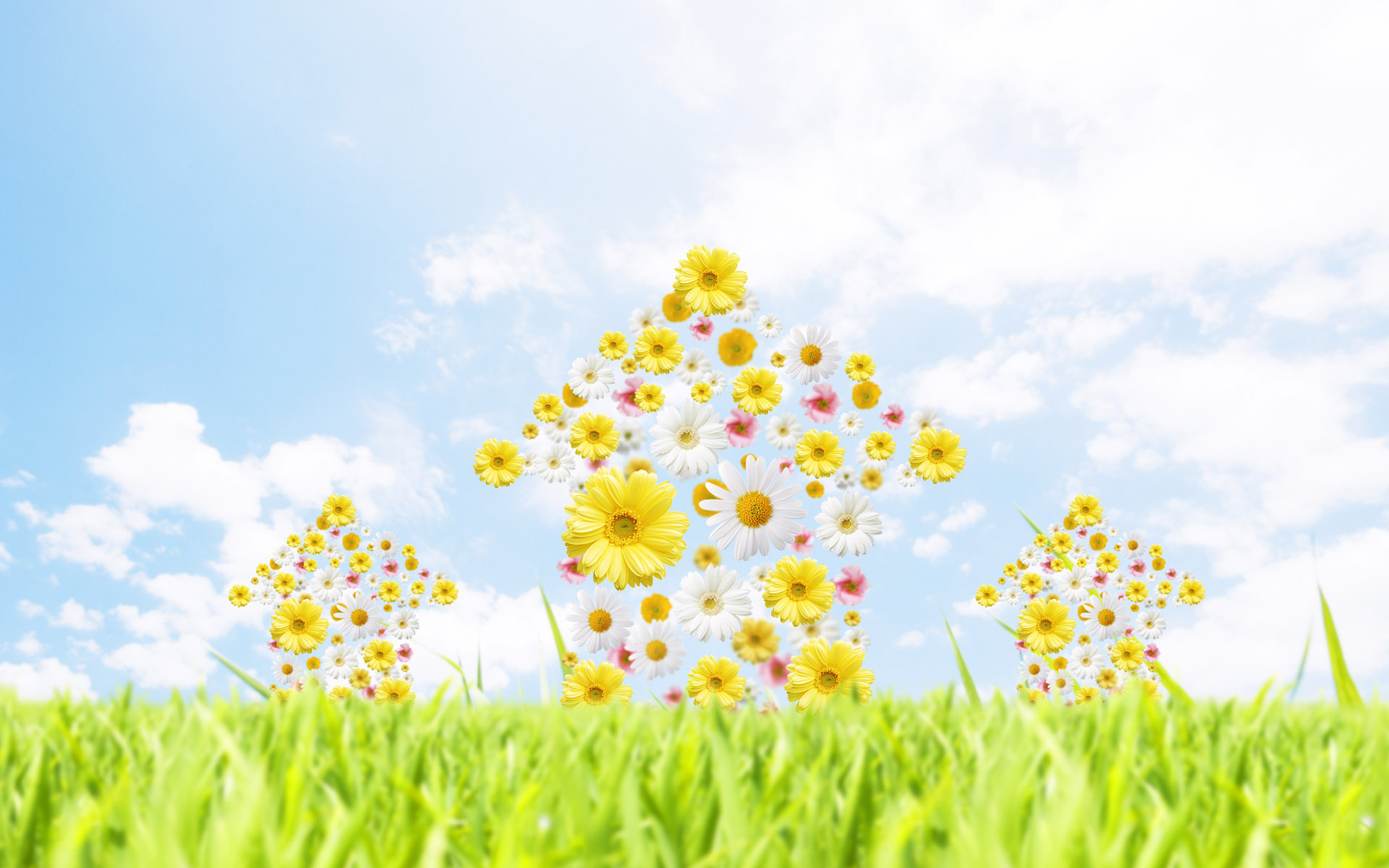 福美欣服藥注意，他克莫司膠囊禁忌