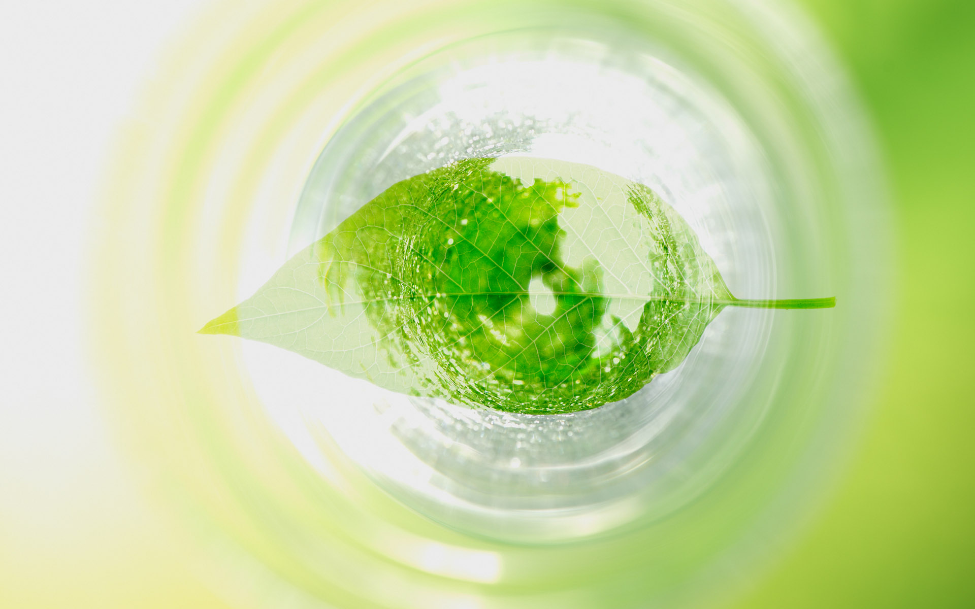 服用伊索佳注意事項，骨關(guān)節(jié)炎的飲食禁忌 